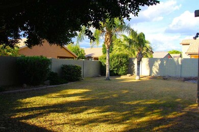 Backyard 2