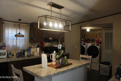 133 Peach Ln, Wartburg, TN 37887 - photo 6