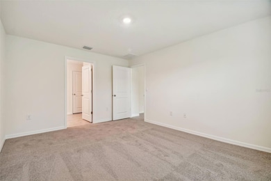 5415 Logan Cave Ave, Wimauma, FL 33598 - photo 5