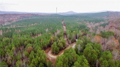 2346 Poole Town Rd, Asheboro, NC 27205 - photo 6