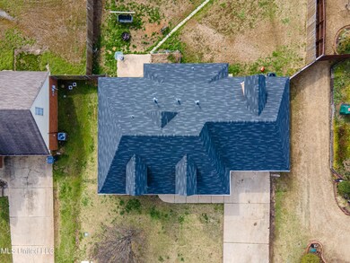 Bird's Eye