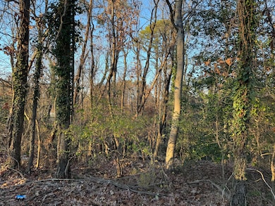 0 Panorama Ave NW, Roanoke, VA 24017 - photo 6