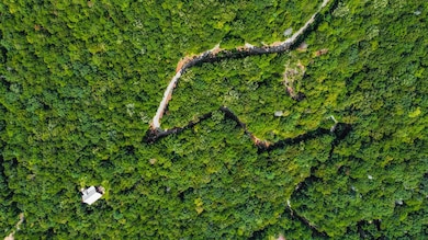 4.69 AC Rockwater Rd, Cherry Log, GA 30522 - photo 6