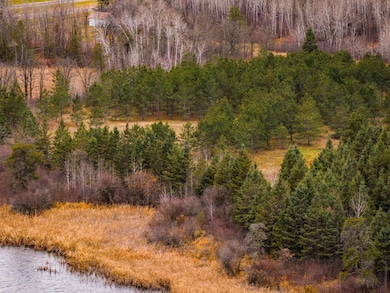 TBD 141st Ave, Bagley, MN 56621 - photo 7