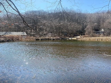 Pond