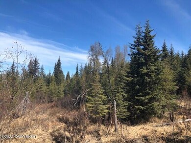 66384 Markoka Ave, Anchor Point, AK 99556 - photo 6