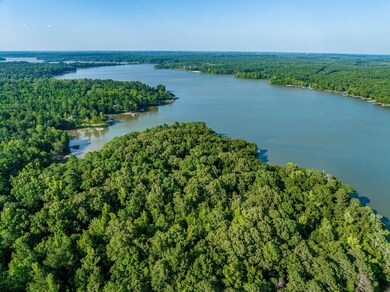 11.48 +/- ACRES Grayson Pointe Dr, Buckhead, GA 30625 - photo 5