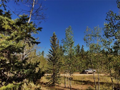 452 Kodiak Rd, Como, CO 80432 - photo 7