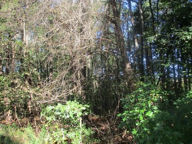 0 Gordy Cir unit 1289649, Tunnel Hill, GA 30755 - photo 4