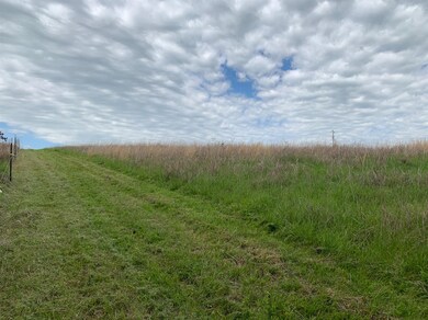 1618 Cummins Ferry Rd, Bondville, KY 40372 - photo 4