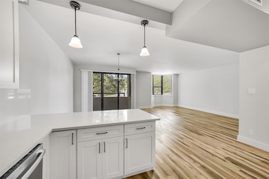 Woodway Place II Condos unit 203, Houston, TX 77057 - photo 6