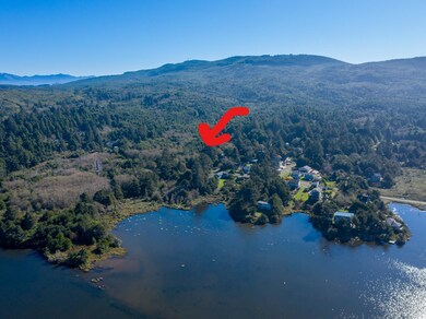 drone shot from the lake