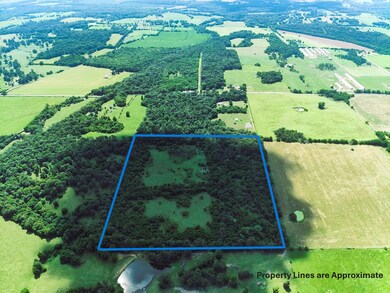 With Property Lines 3