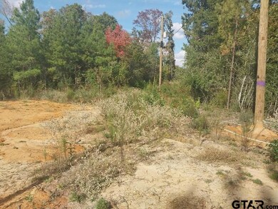 7104 Pin Oak Rd, Big Sandy, TX 75755 - photo 7