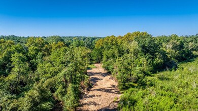 0 Gilmer Bridge Lots, Delight, AR 71958 - photo 4