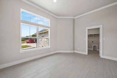 Empty room featuring ornamental molding, light wo
