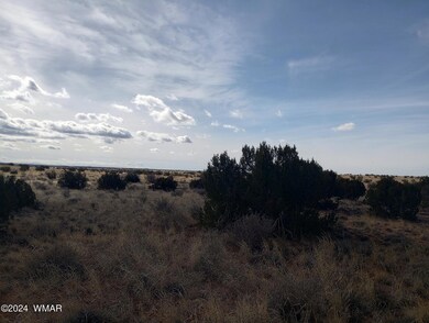 IMG_20240227_102625513_HDR