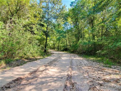 23810 Sanders Cemetary, Magnolia, TX 77355 - photo 2
