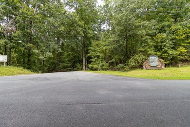 372 Emerald Springs Ln, Ellijay, GA 30540 - photo 4