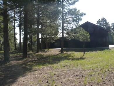 33332 Mountain View unit 5 Lot C4, Trinidad, CO 81082 - photo 6