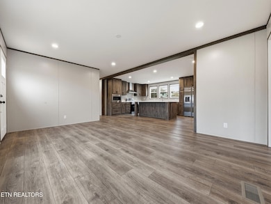 729 Siluria St, Harriman, TN 37748 - photo 7