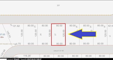 141 Dailey St SE, Palm Bay, FL 32909 - photo 3