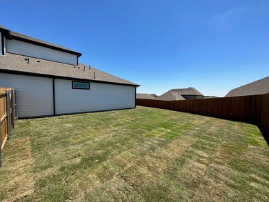 1525 Razorbill Road - Rear Exterior