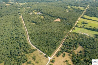 000 Luetjen Ave, Cole Camp, MO 65325 - photo 2