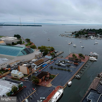 222 West St unit A, Annapolis, MD 21401 - photo 4