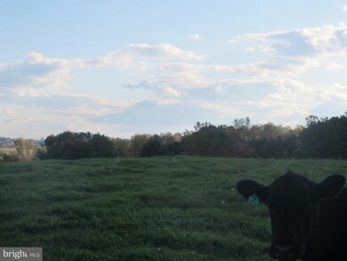 0 Lizzie Mills Rd, Castleton, VA 22716 - photo 7