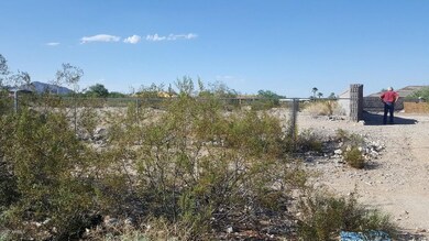 20170809_164618_resized