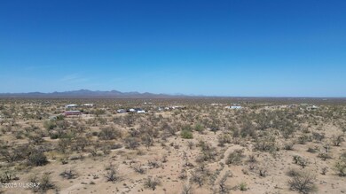 DJI_0445