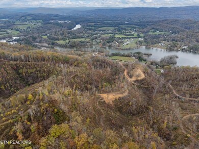 DJI_20241114153847_0136_D-HDR