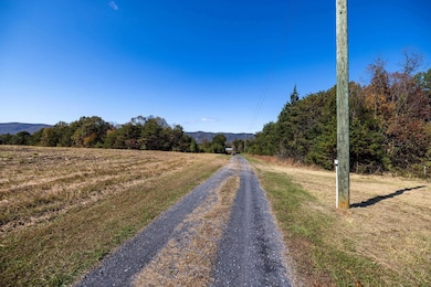 1 & 2 Young Rd, Rileyville, VA 22650 - photo 3