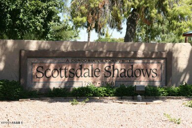 Scottsdale Shadows