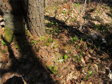 0 Pemaquid Harbor Rd unit 1308197, Bristol, ME 04539 - photo 4
