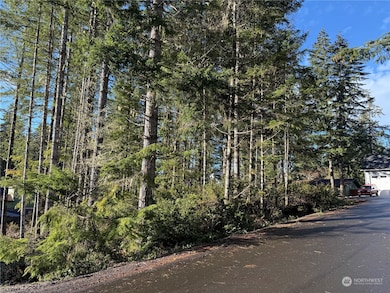 0 E Blackberry Ln, Union, WA 98592 - photo 3