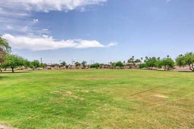 grass