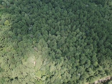 2800 County Road 441, Magnolia Springs, TX 75956 - photo 6