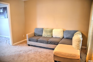 260 Jamestown Rd, Macomb, IL 61455 - photo 5