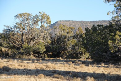 Wrangler Wrangler Ridge Rd unit 30118203, Seligman, AZ 86337 - photo 2