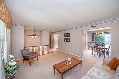 009__z729311-edit_706