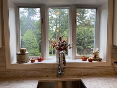 Kitchen window