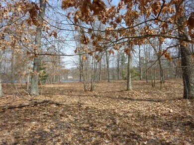 10738 N Beaver Trail, Bitely, MI 49309 - photo 3