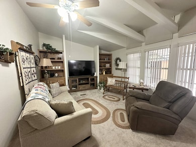Den with Built-ins