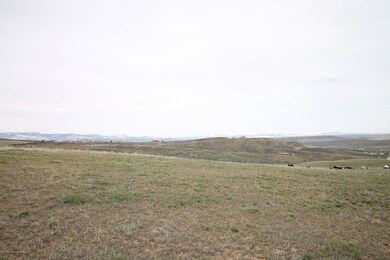 IMG_9650
