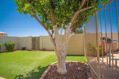 Backyard 2