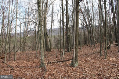 21.16 AC Ridge View Rd, Moorefield, WV 26836 - photo 4