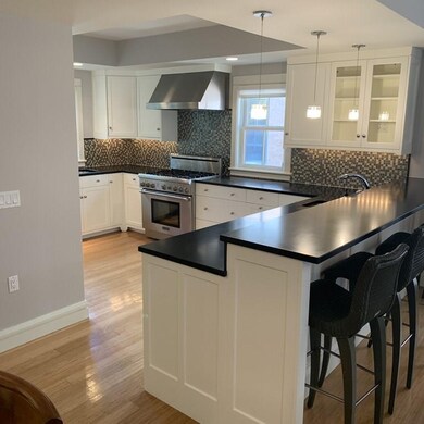 99 Winchester St unit 3, Brookline, MA 02446 - photo 4