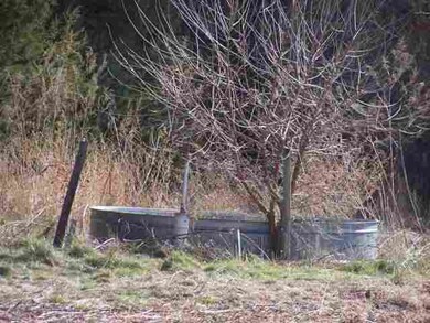 15321 W North River Rd, North Platte, NE 69101 - photo 4